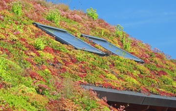 Beadlow living roof systems